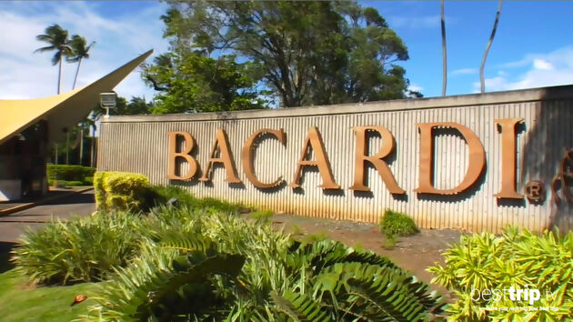 Bacardi Tour and Daiquiri Rum Cocktail, Puerto Rico