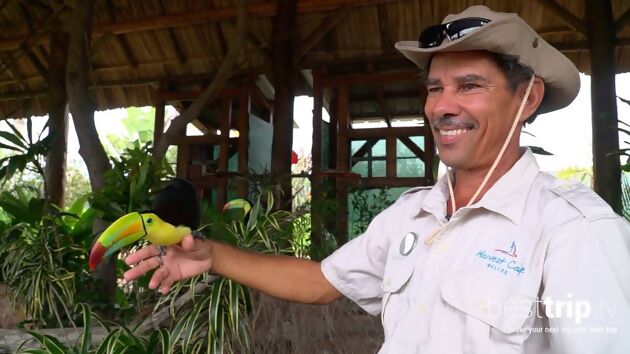 Eco-Friendly: Meet this Cruise Line Private Island's In-House Naturalist