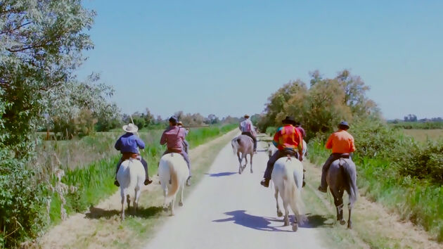 Cowboys in the Camargue