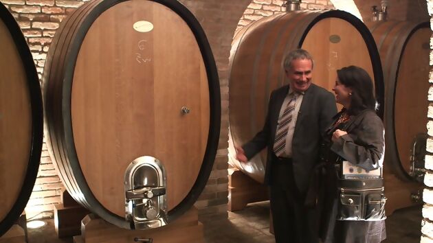 Meet the Winemaker in Austria's Wachau Valley